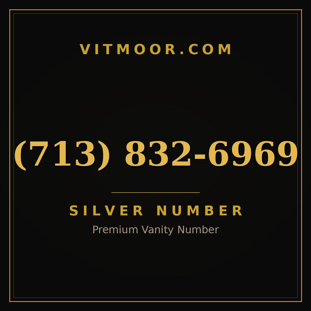 713 832-6969