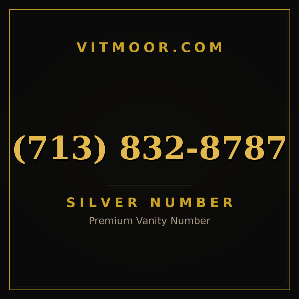 713 832-8787