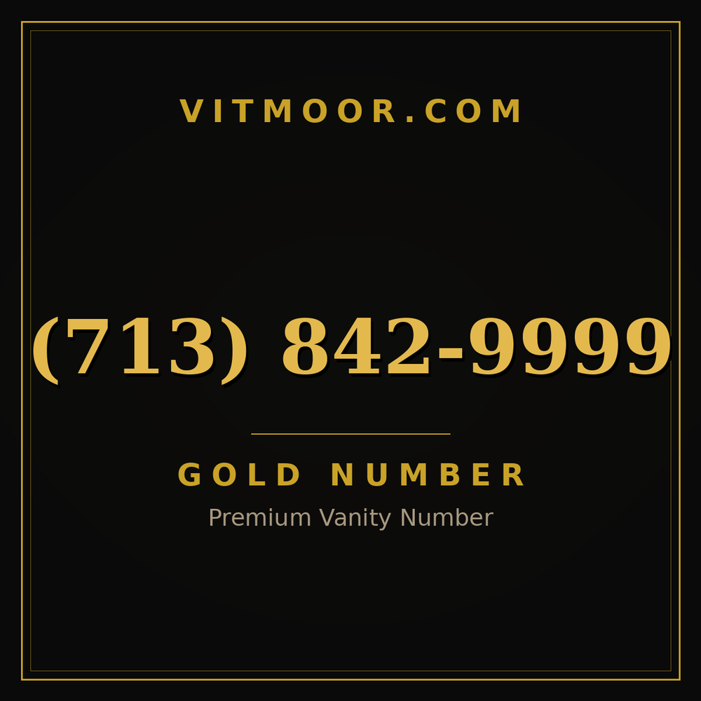 713 842-9999