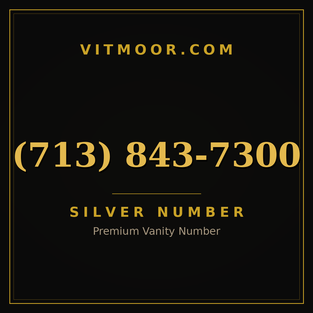 713 843-7300