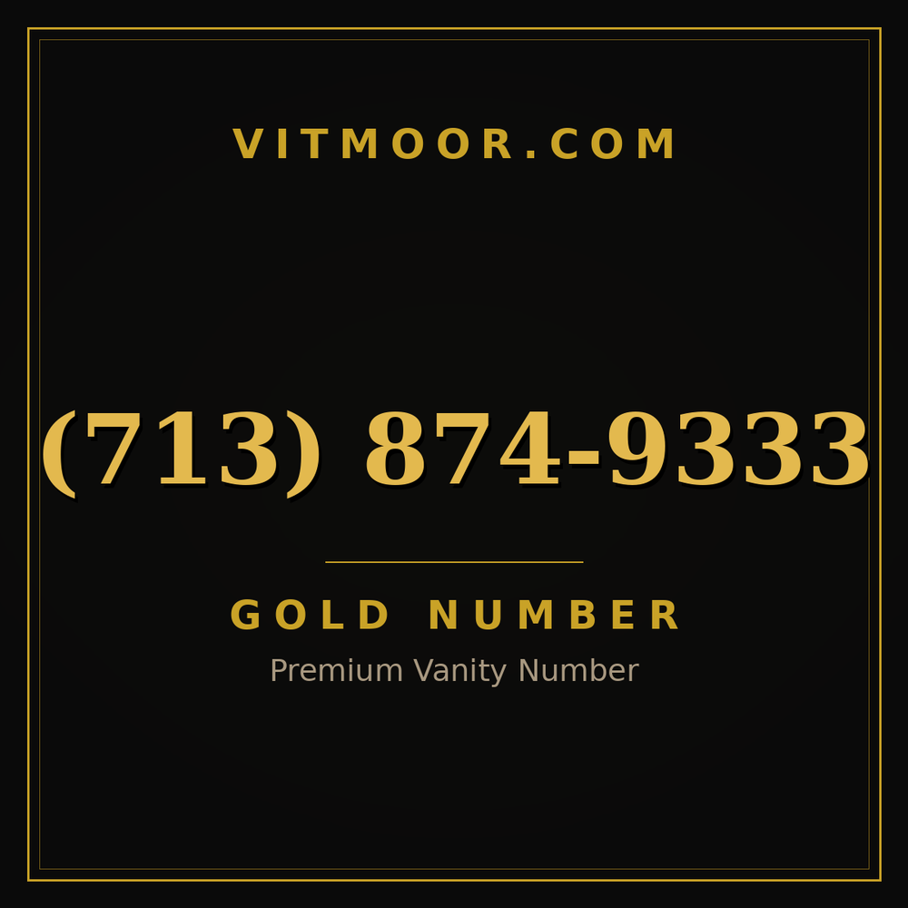 713 874-9333