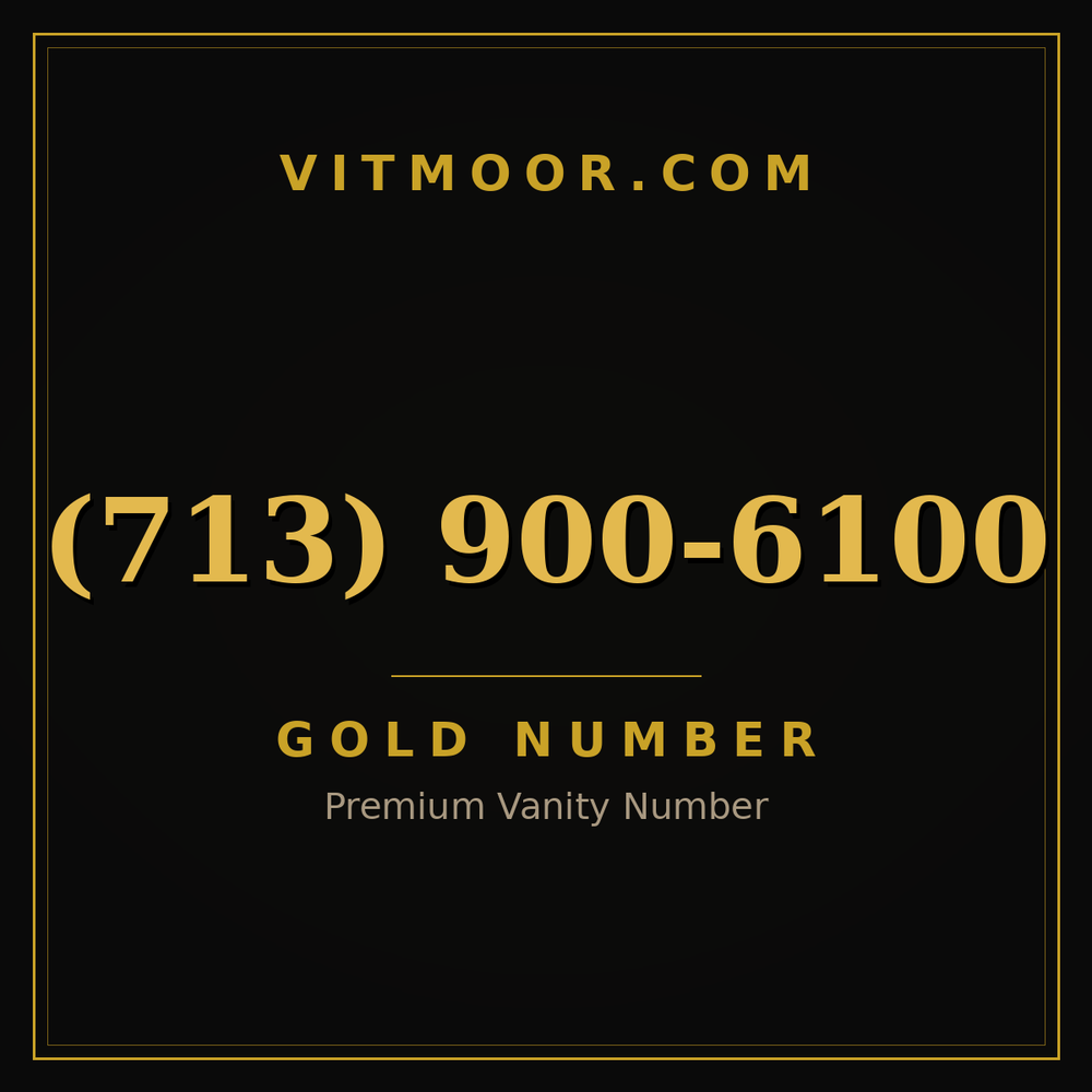 713 900-6100