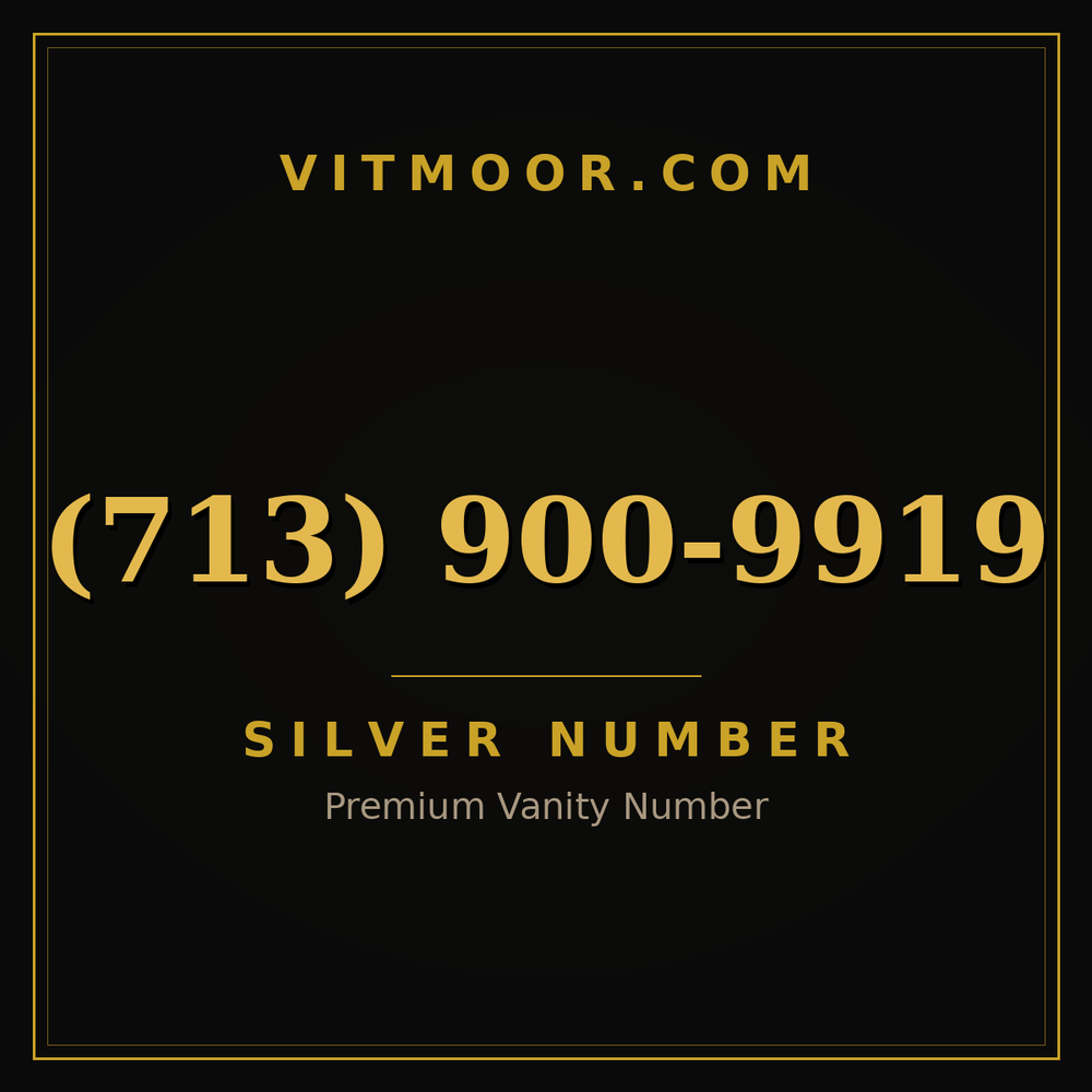 713 900-9919