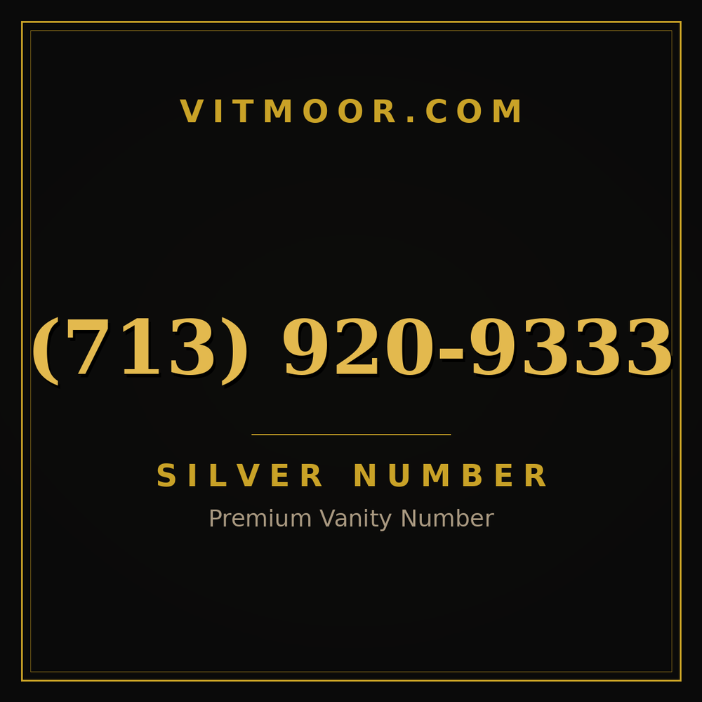713 920-9333