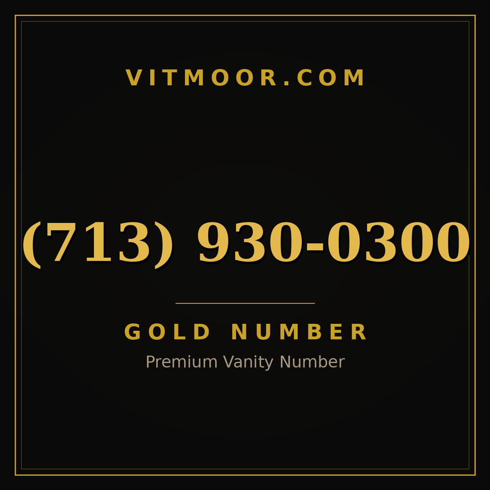 713 930-0300