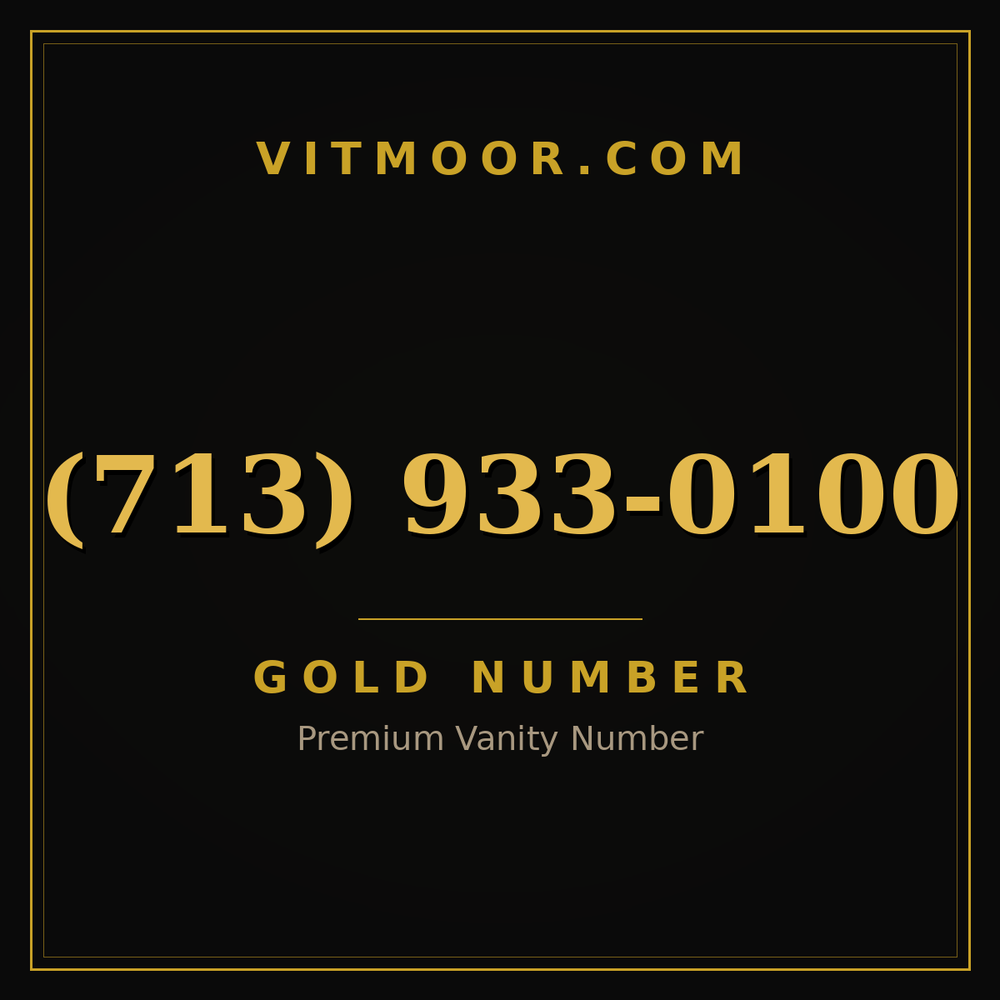 713 933-0100