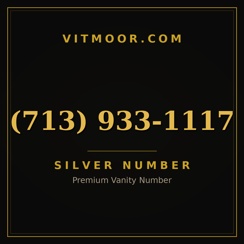 713 933-1117