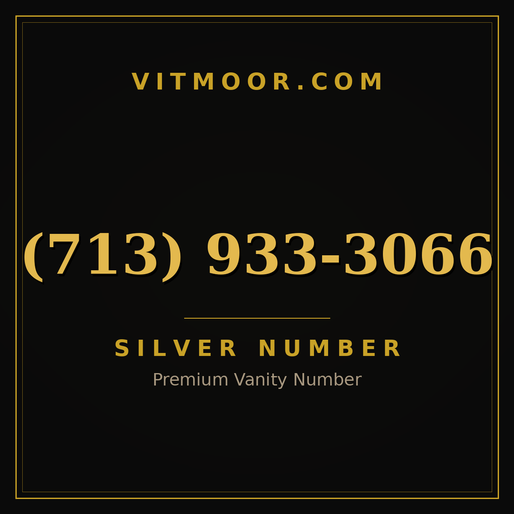 713 933-3066