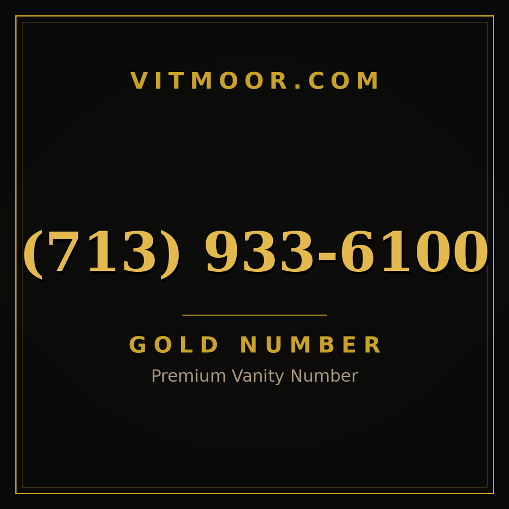 713 933-6100
