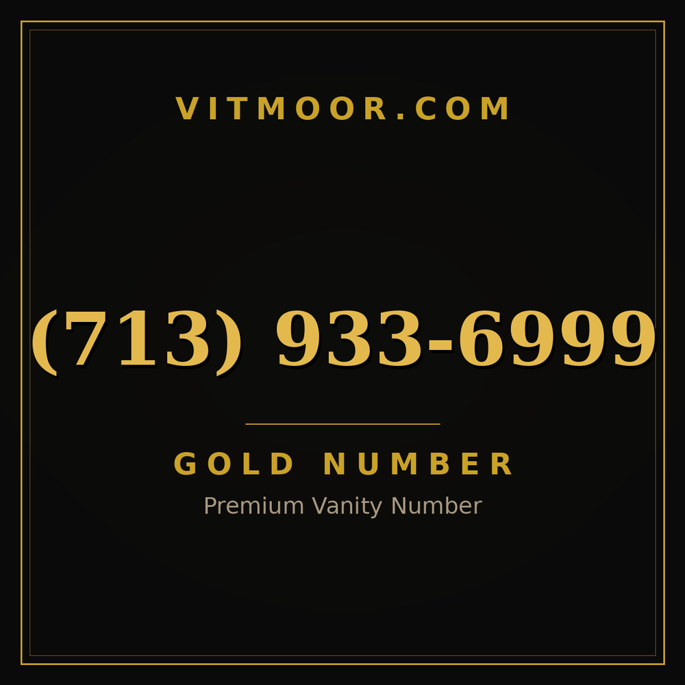 713 933-6999