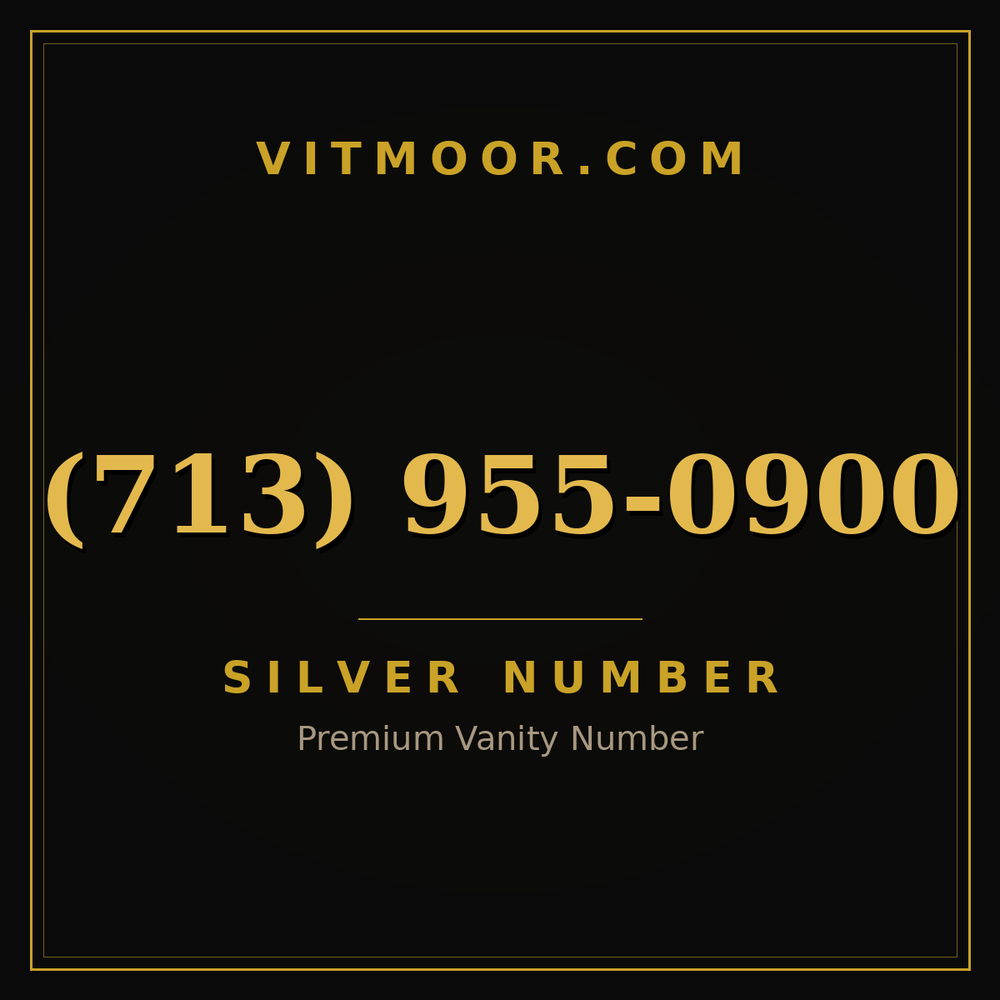 713 955-0900