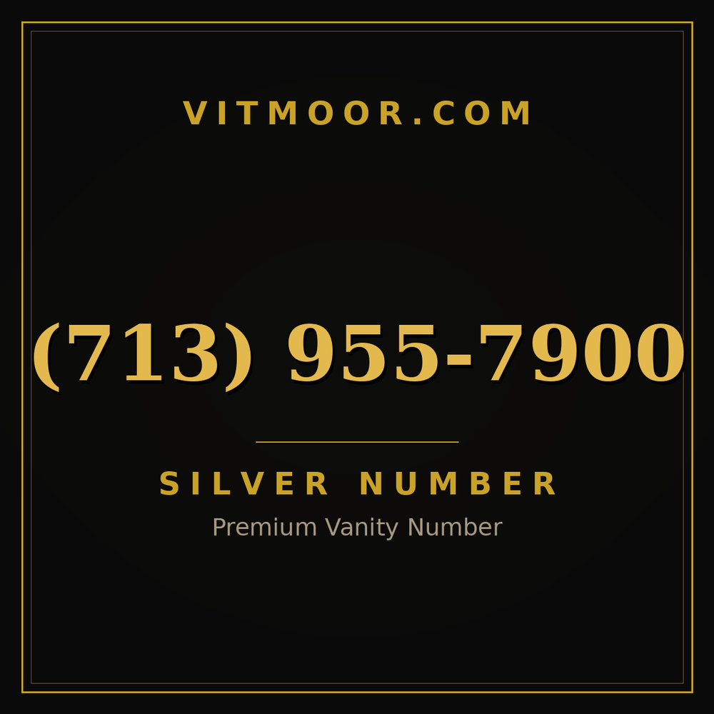 713 955-7900