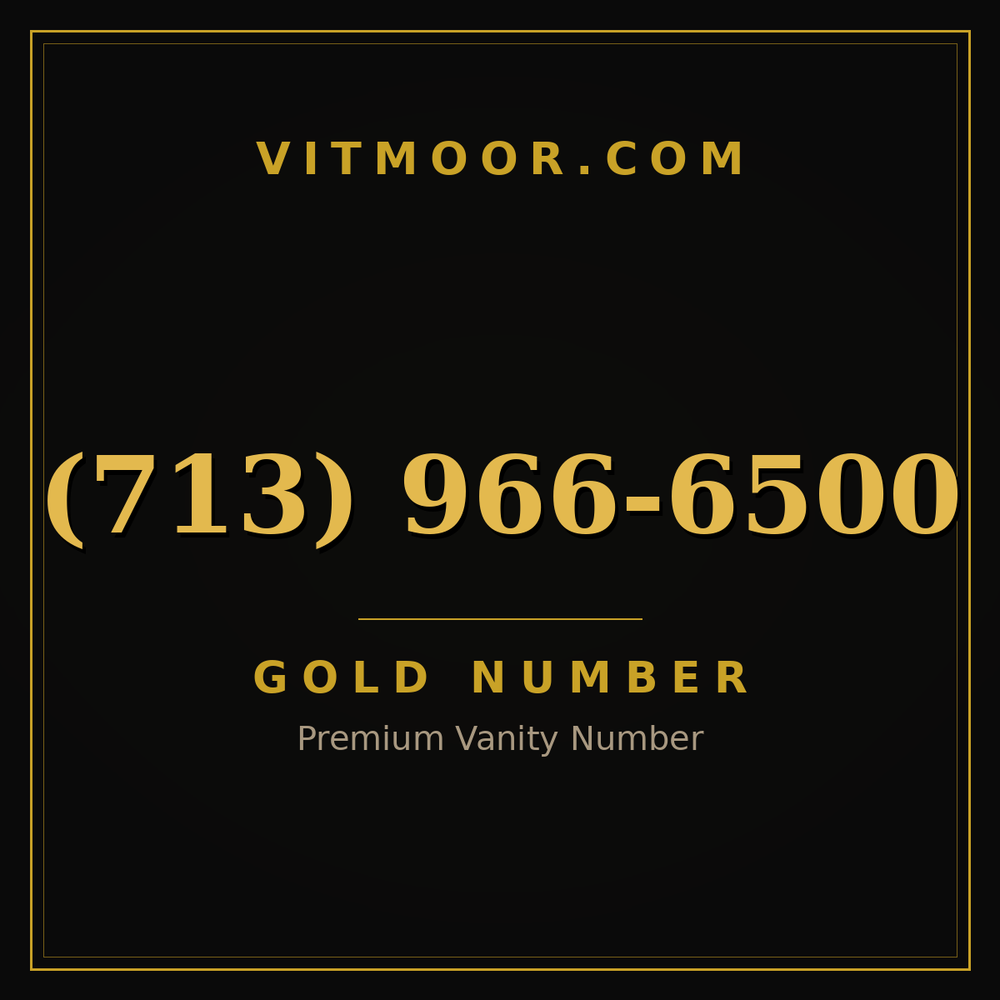 713 966-6500