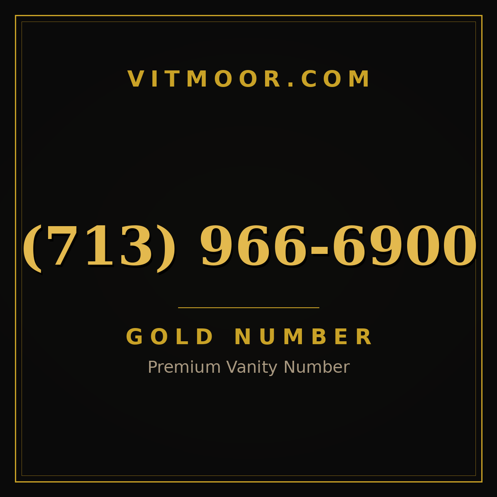 713 966-6900