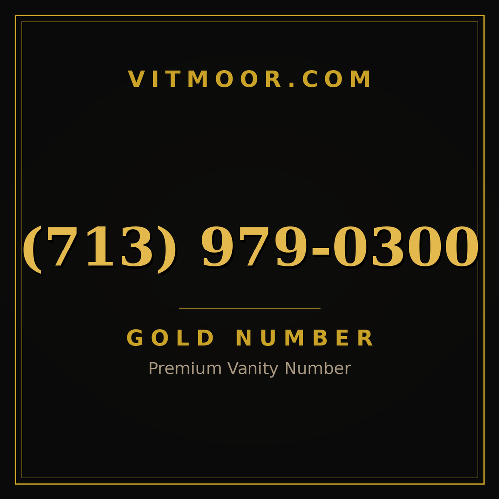 713 979-0300