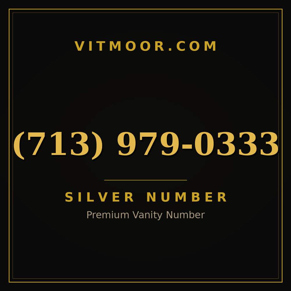 713 979-0333