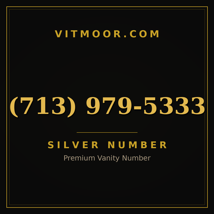 VITMOOR Silver premium number (713) 979-5333