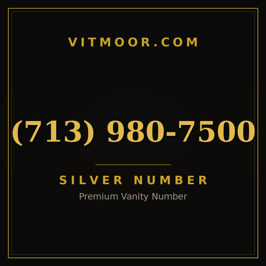 VITMOOR Silver premium number (713) 980-7500