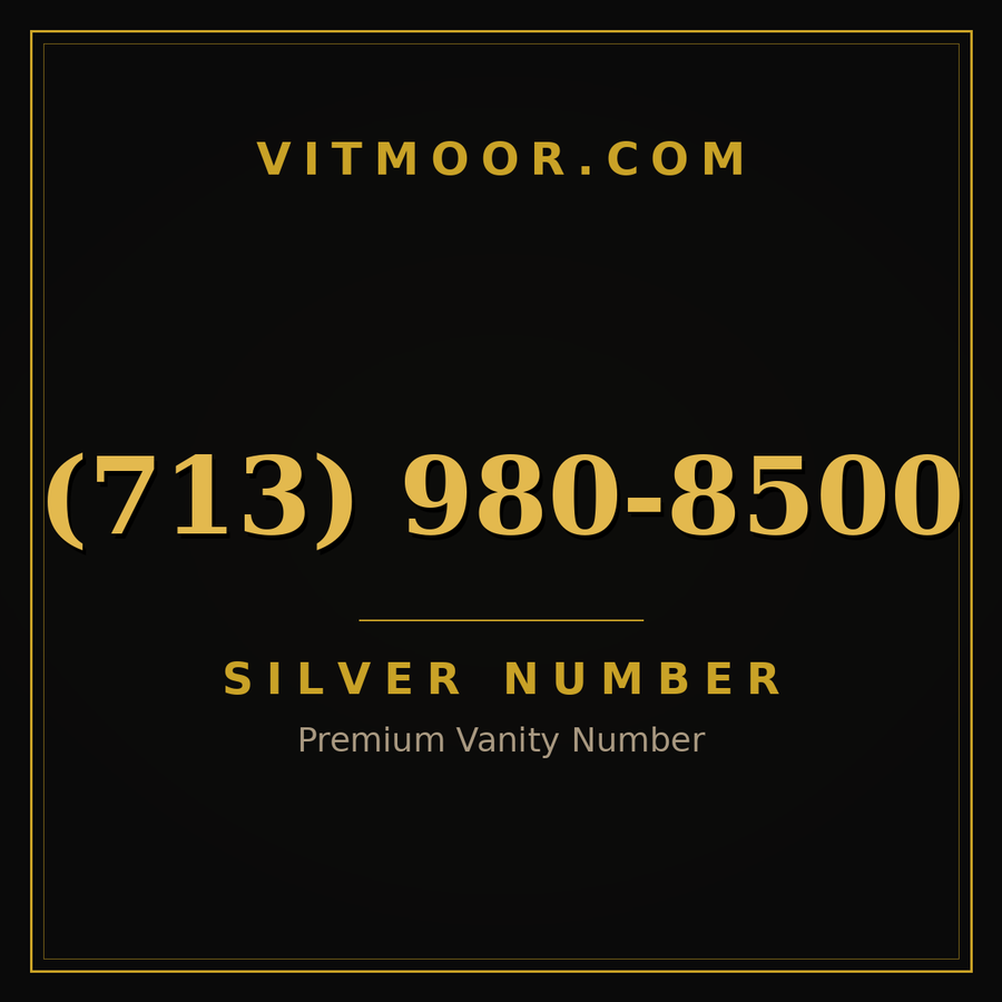 VITMOOR Silver premium number (713) 980-8500