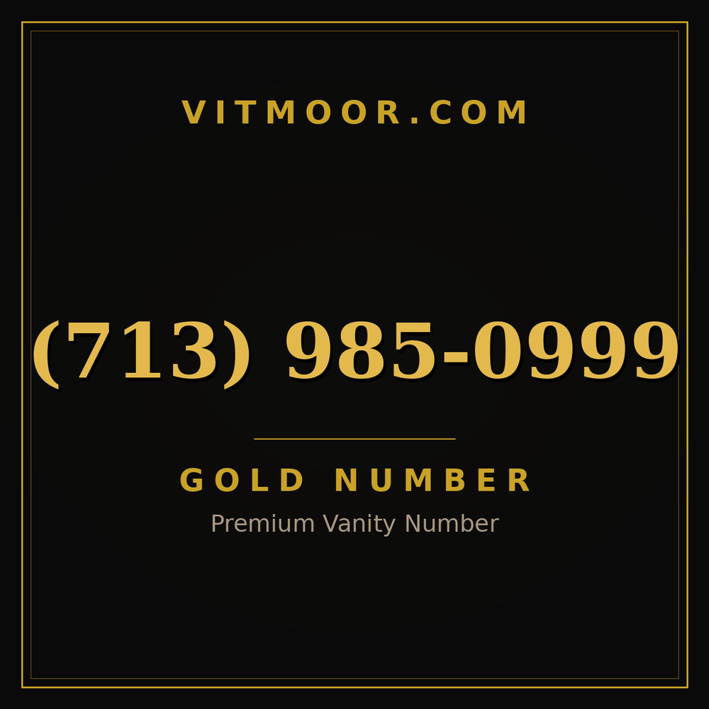 713 985-0999