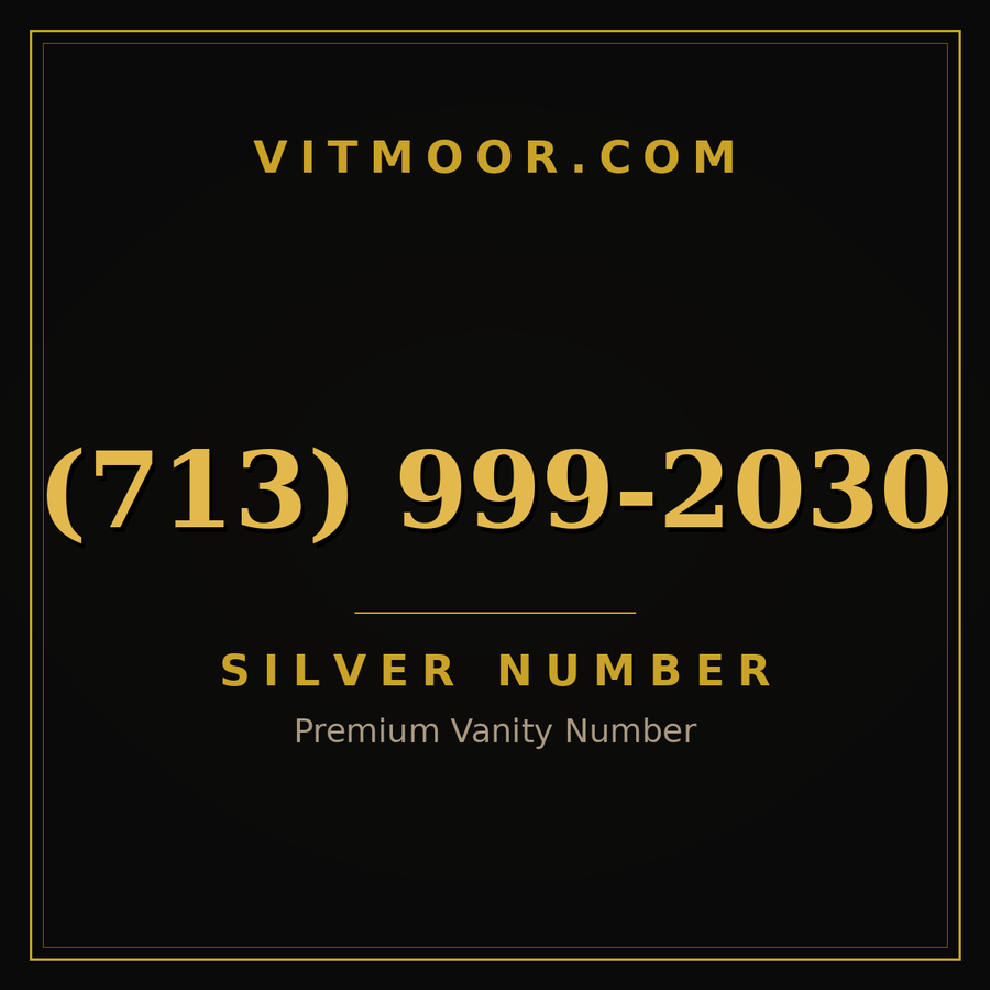 VITMOOR Silver premium number (713) 999-2030
