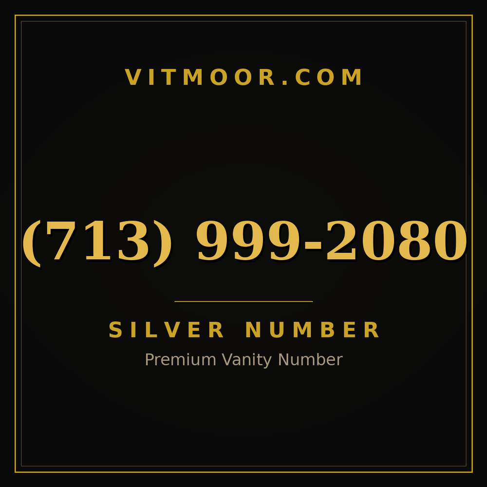 713 999-2080