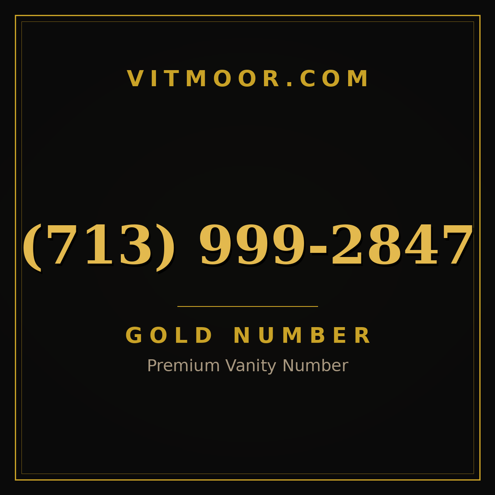 713 999-2847