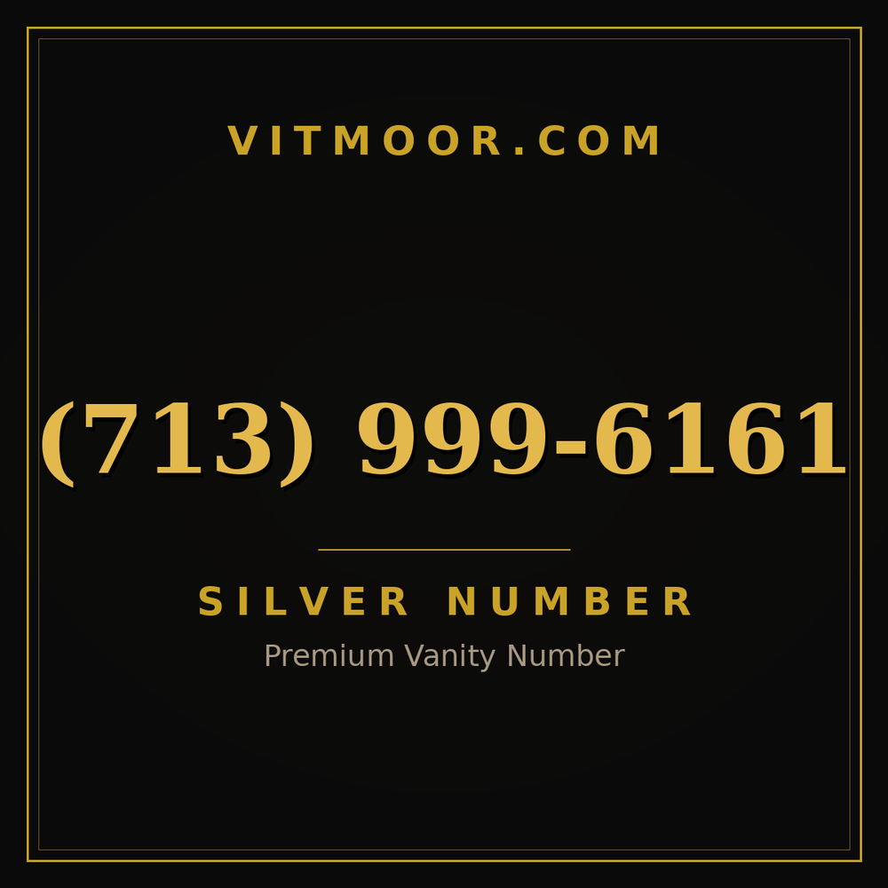 713 999-6161
