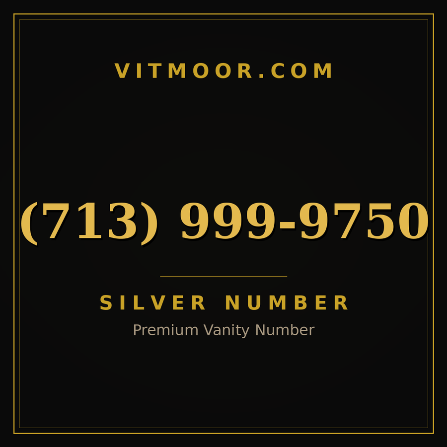 VITMOOR Silver premium number (713) 999-9750