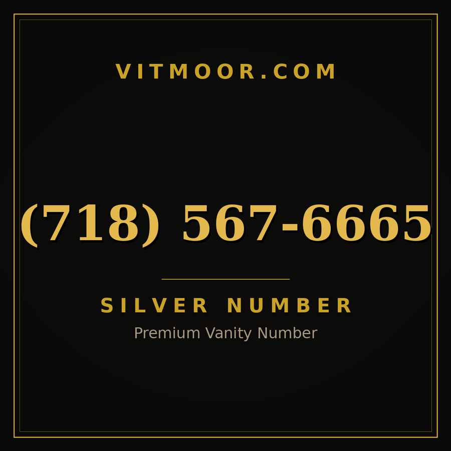 VITMOOR Silver premium number (718) 567-6665