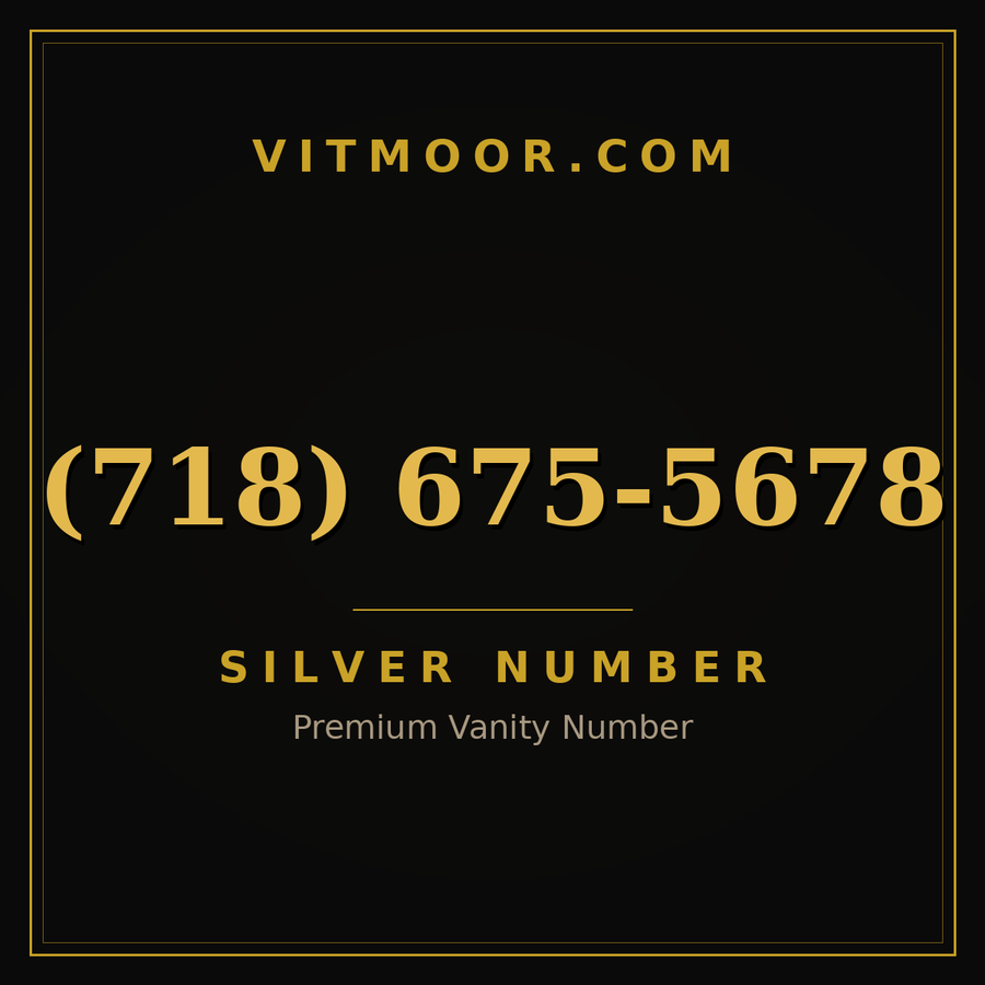 VITMOOR Silver premium number (718) 675-5678