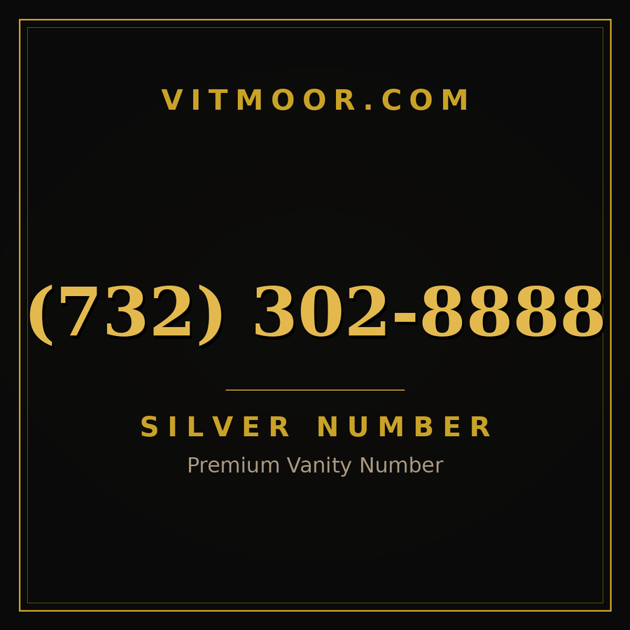VITMOOR Silver premium number (732) 302-8888