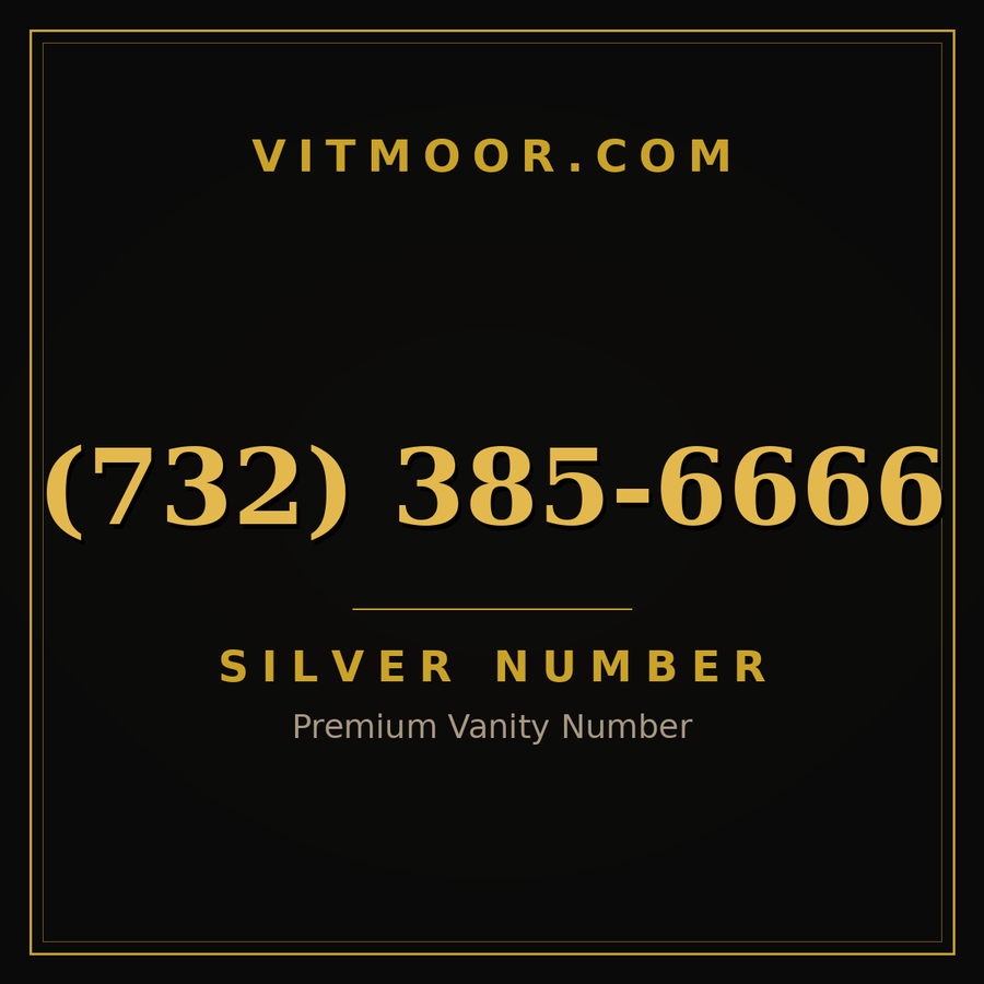VITMOOR Silver premium number (732) 385-6666