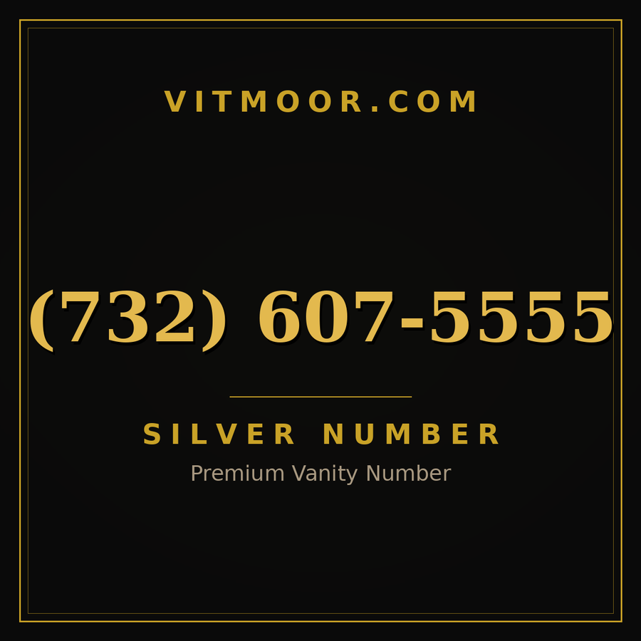VITMOOR Silver premium number (732) 607-5555