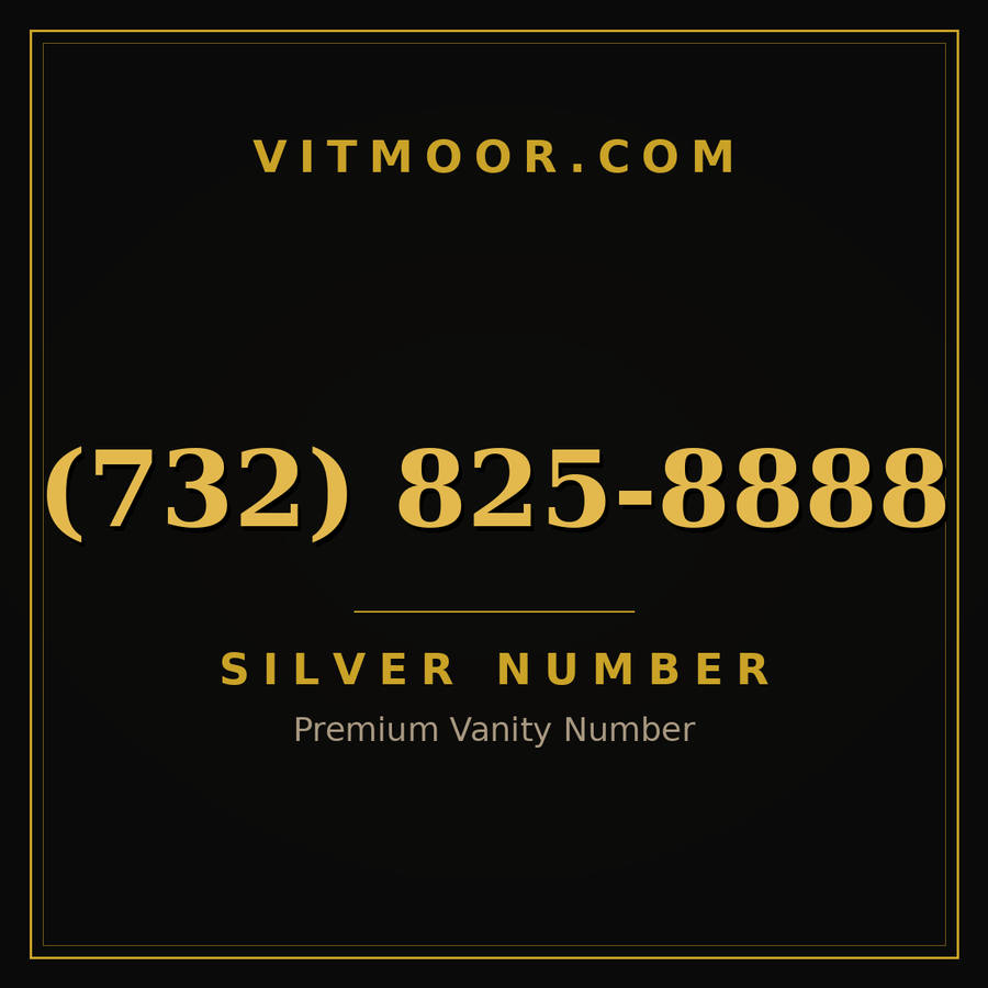 VITMOOR Silver premium number (732) 825-8888