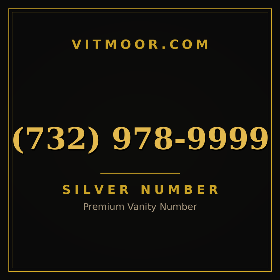 VITMOOR Silver premium number (732) 978-9999