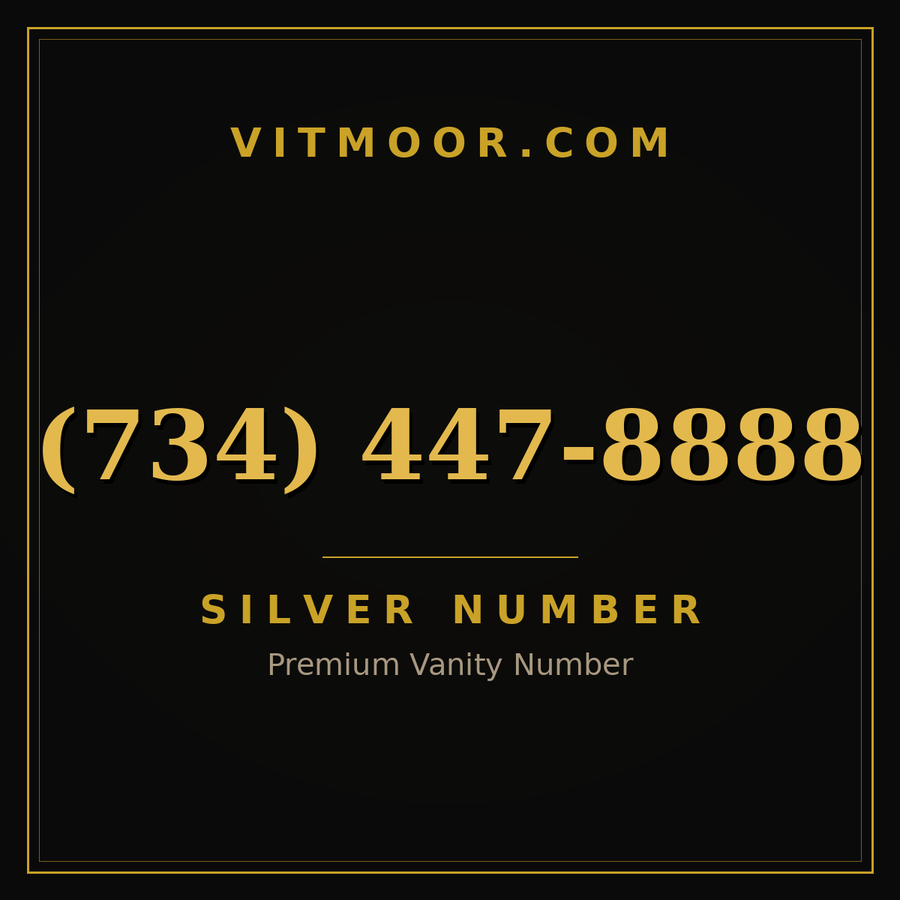 VITMOOR Silver premium number (734) 447-8888