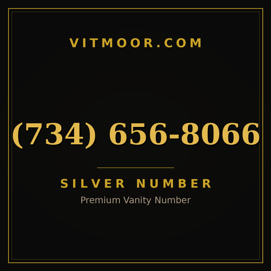 VITMOOR Silver premium number (734) 656-8066