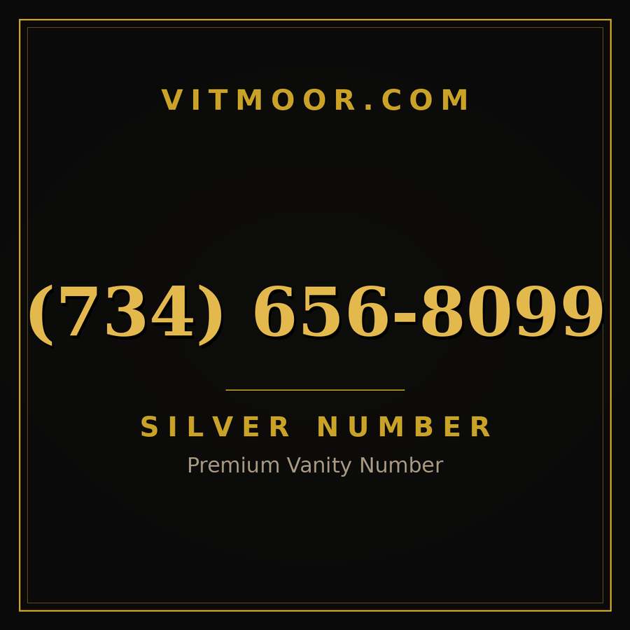 VITMOOR Silver premium number (734) 656-8099