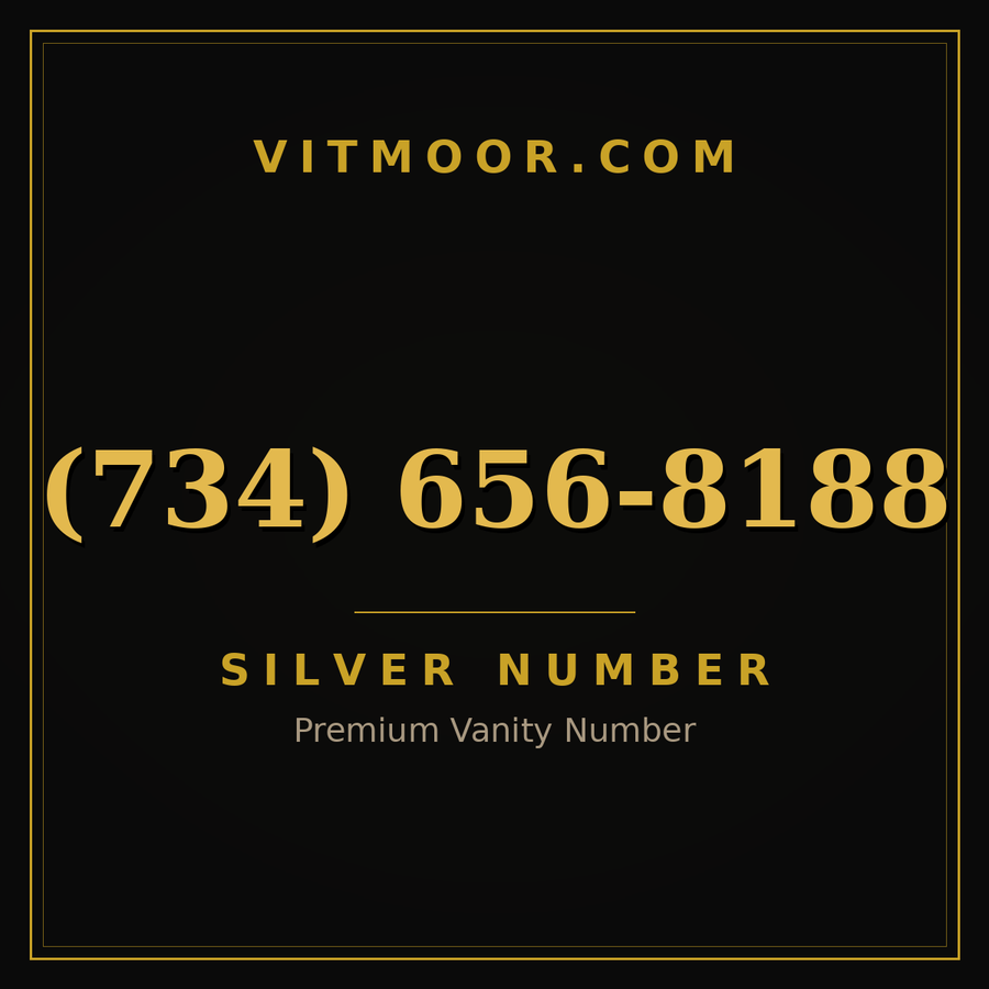VITMOOR Silver premium number (734) 656-8188