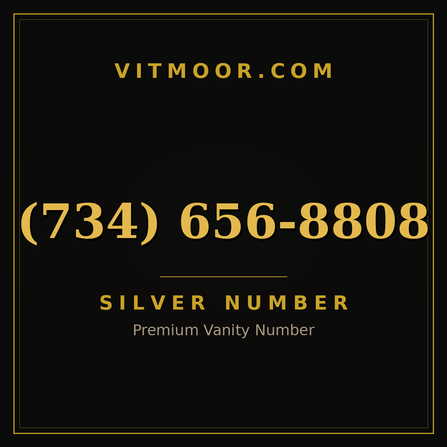VITMOOR Silver premium number (734) 656-8808