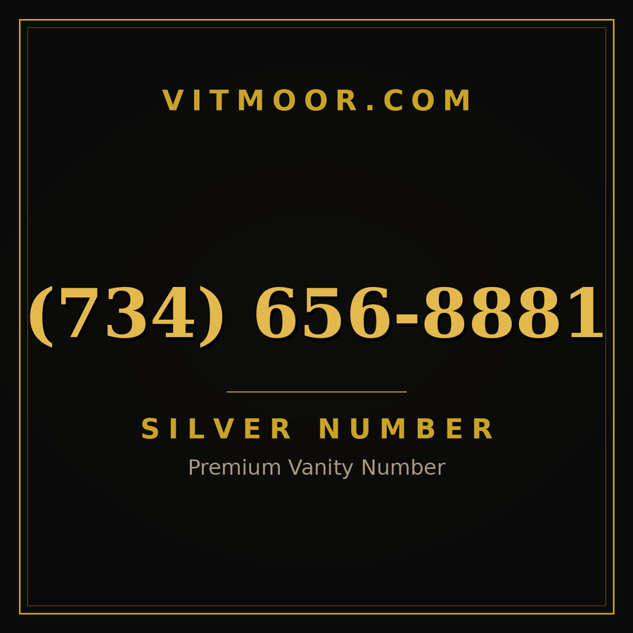 VITMOOR Silver premium number (734) 656-8881