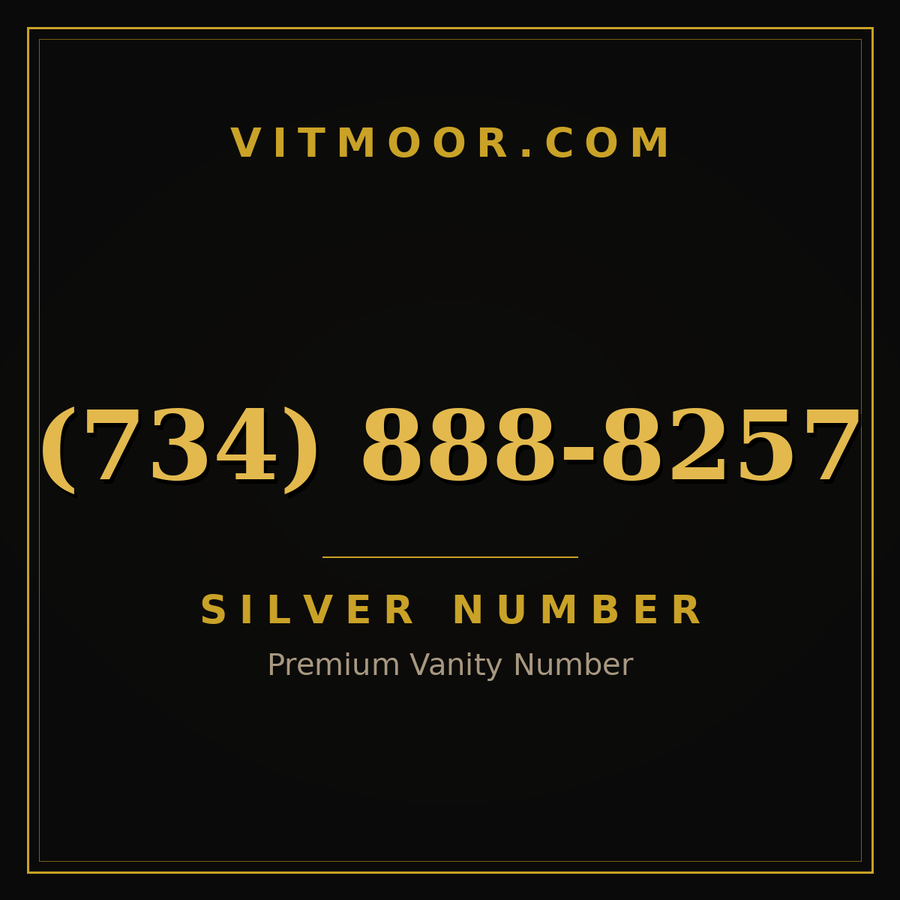 VITMOOR Silver premium number (734) 888-8257