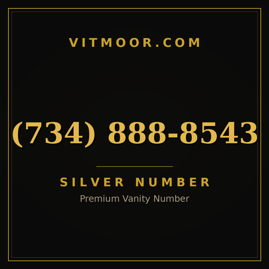 VITMOOR Silver premium number (734) 888-8543