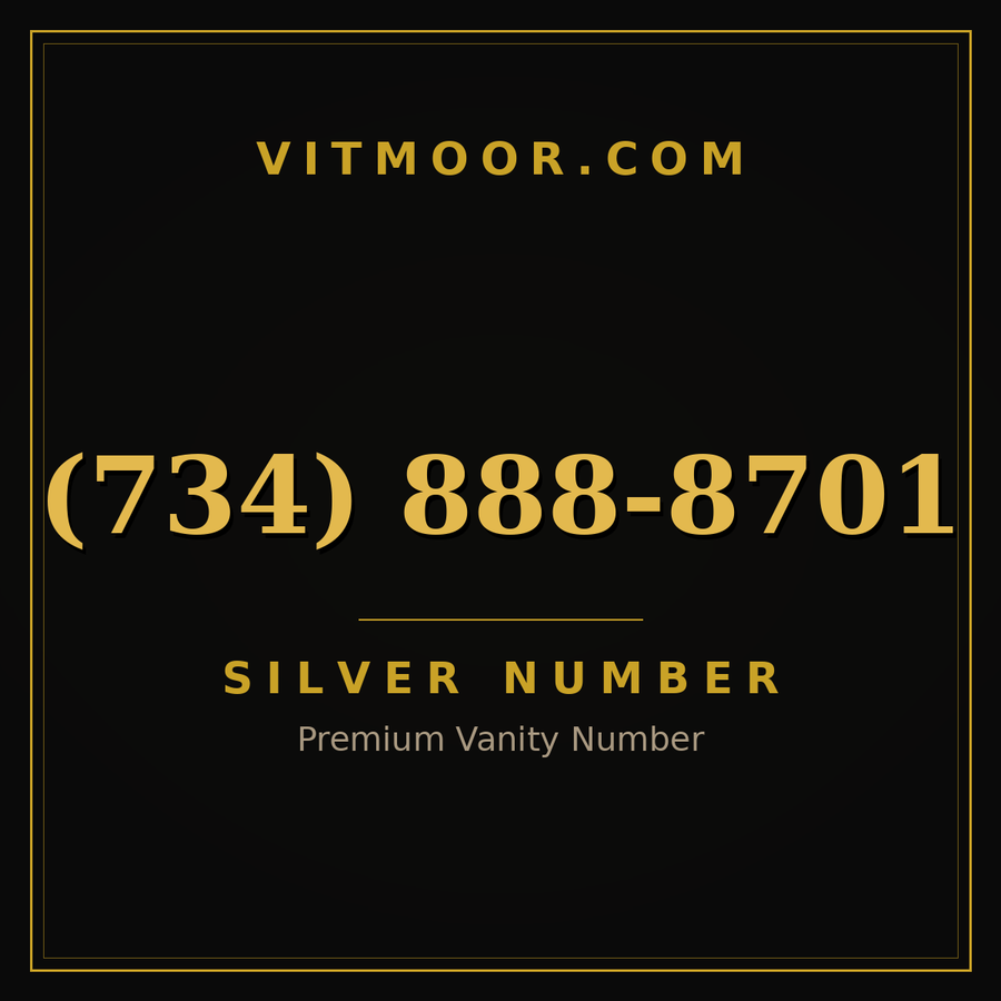 VITMOOR Silver premium number (734) 888-8701