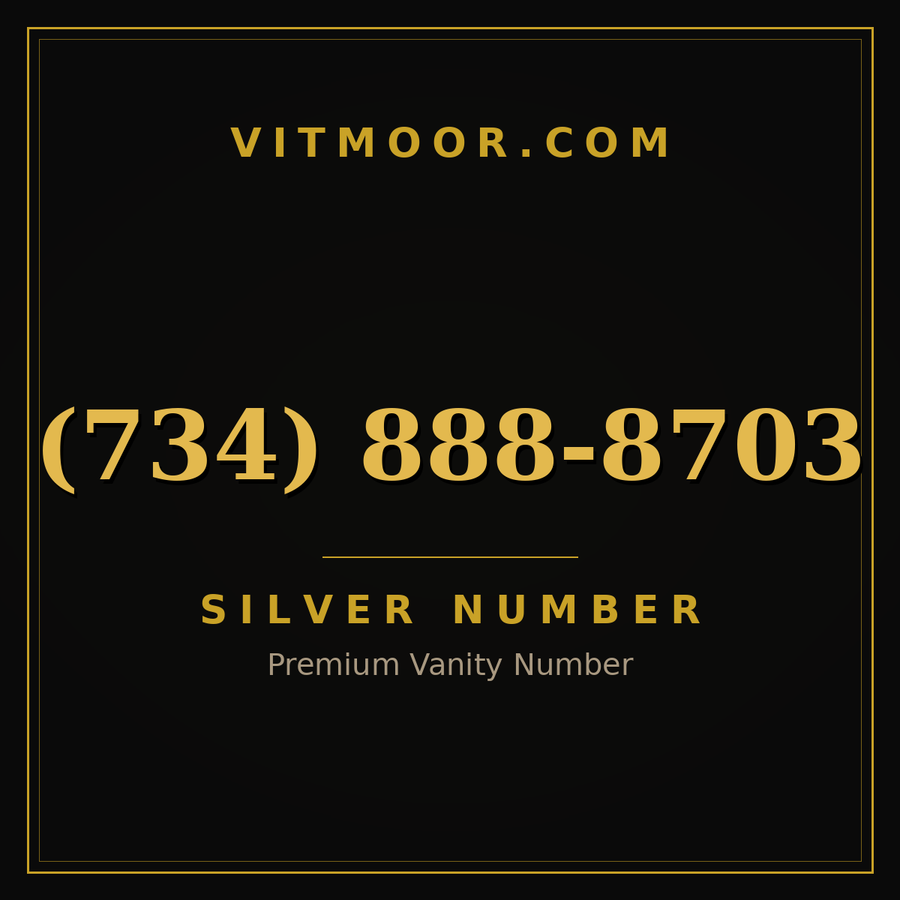 VITMOOR Silver premium number (734) 888-8703