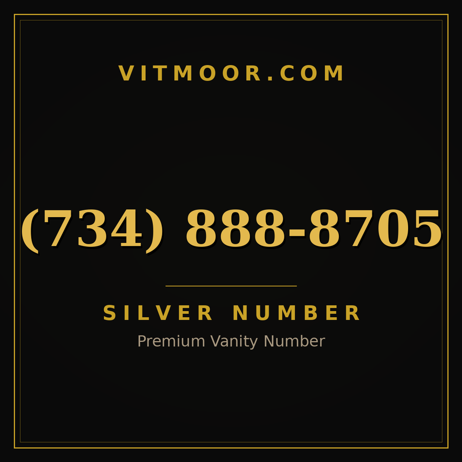 VITMOOR Silver premium number (734) 888-8705