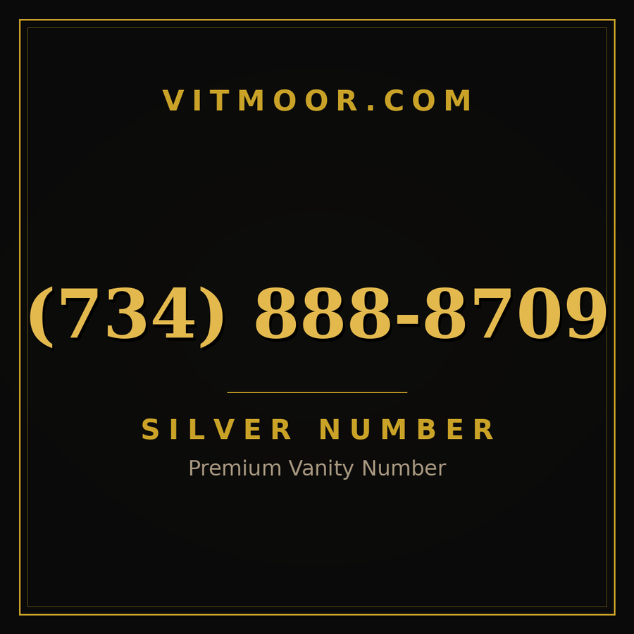 VITMOOR Silver premium number (734) 888-8709