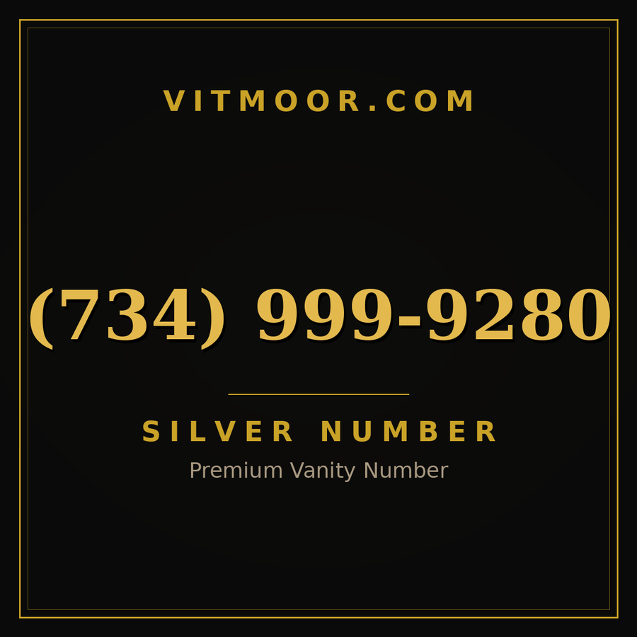 VITMOOR Silver premium number (734) 999-9280