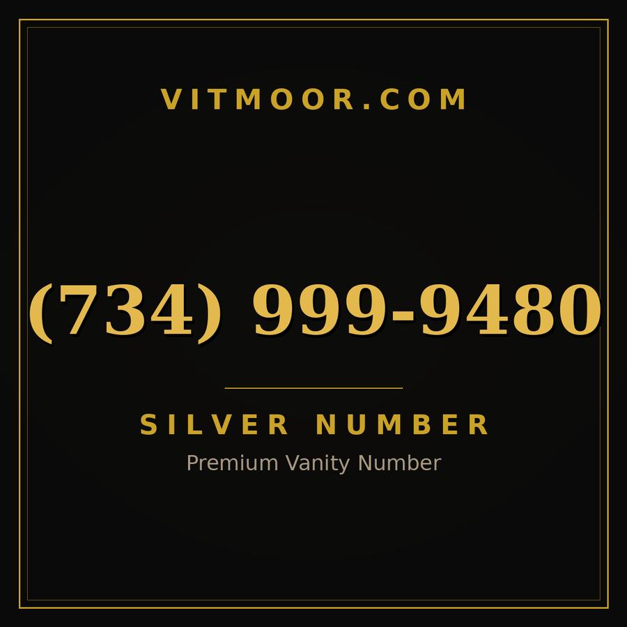VITMOOR Silver premium number (734) 999-9480